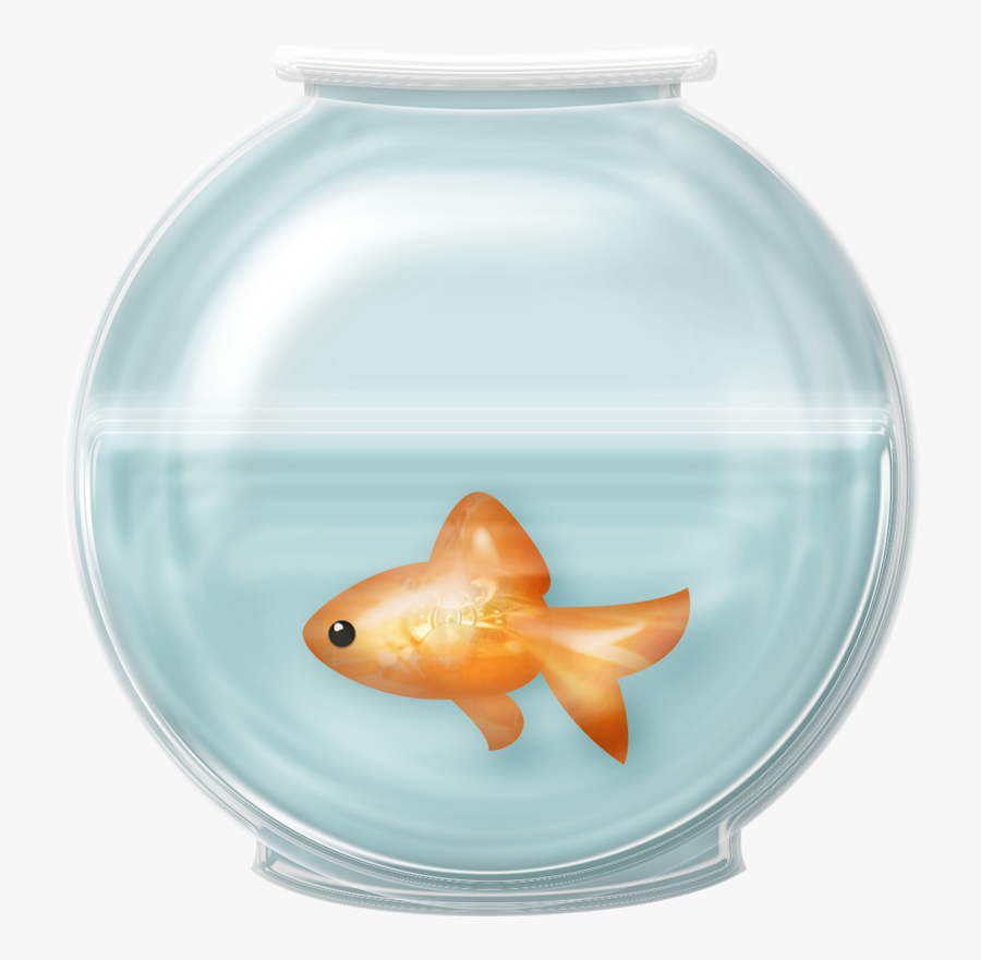 28 Collection Of Fish Bowl Clipart Free - Fish In A Bowl Transparent, Transparent Clipart