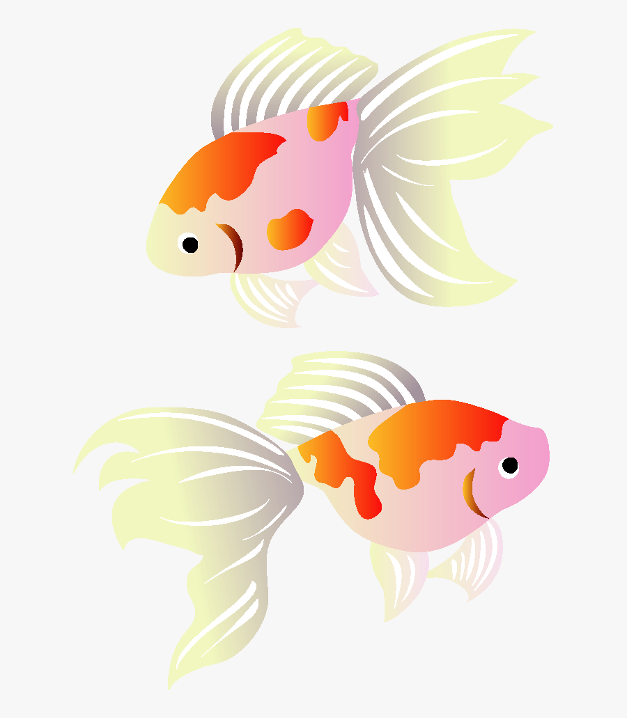 Koi Greeting Illustration Cards Goldfish Post, Transparent Clipart