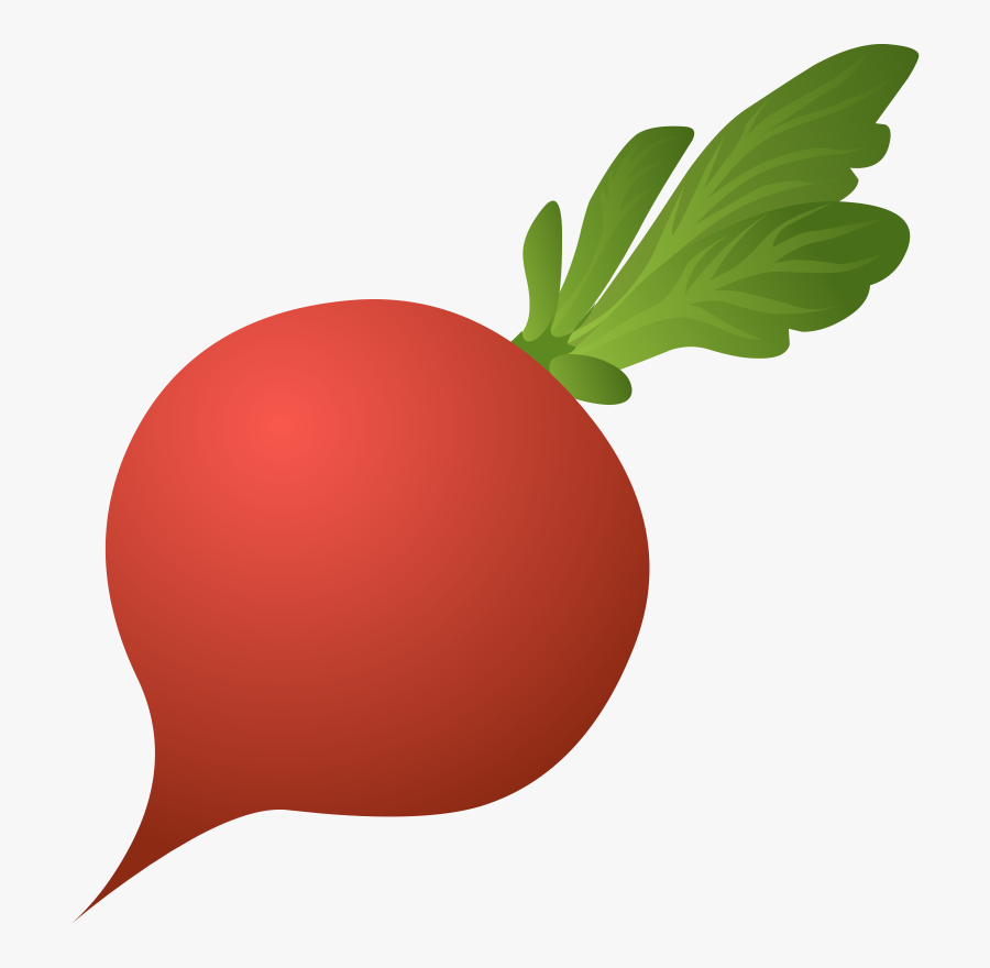Plant,apple,food - Beetroot Clipart Png, Transparent Clipart