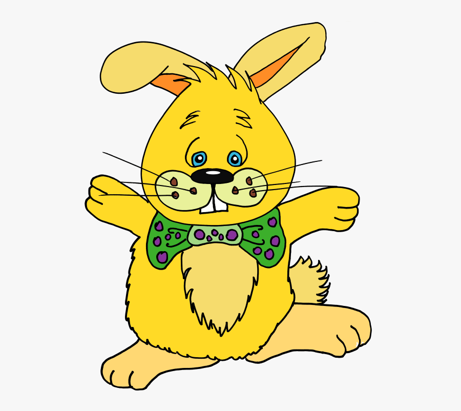 Domestic Rabbit, Transparent Clipart