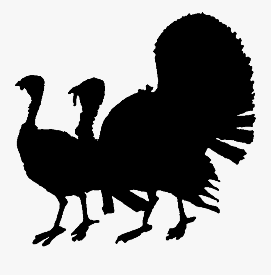 Pilgrim Silhouette At Getdrawings - Wild Turkey Clipart Black And White, Transparent Clipart