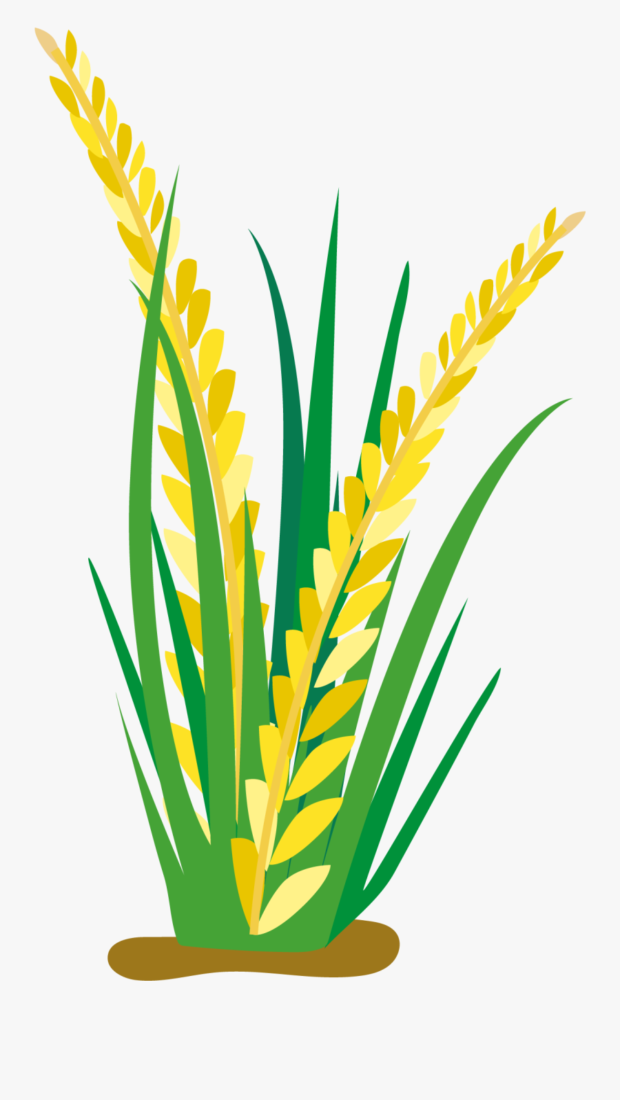 Cartoon Oat Clip Art - Rice Plant Vector Png, Transparent Clipart