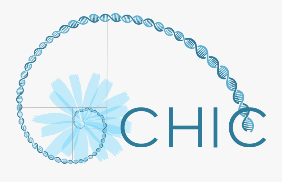 Chic Project - Logodef, Transparent Clipart