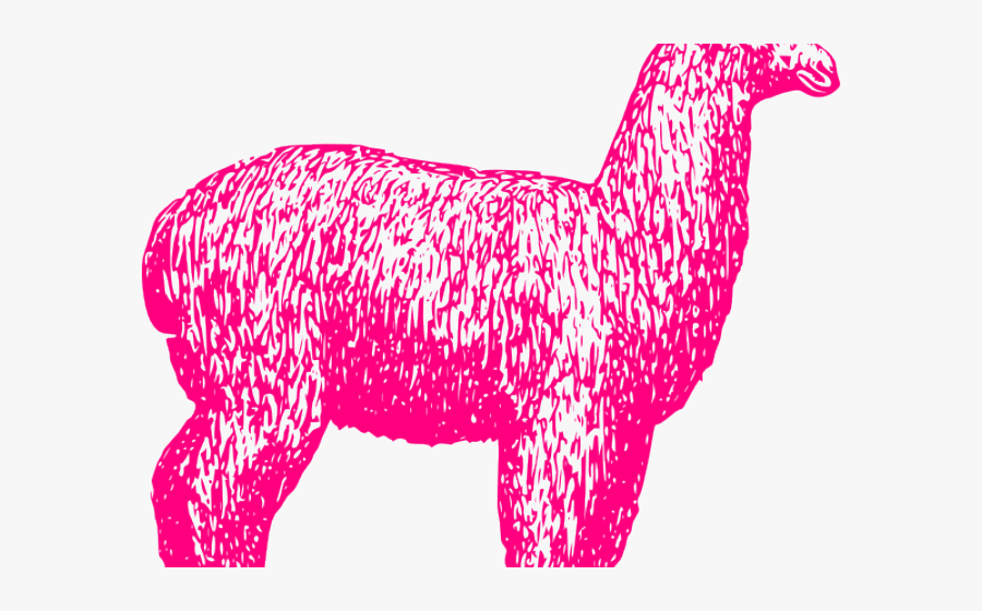 Clip Art Alpaca Clipart For Free - Different Types Of Animal Fibres, Transparent Clipart