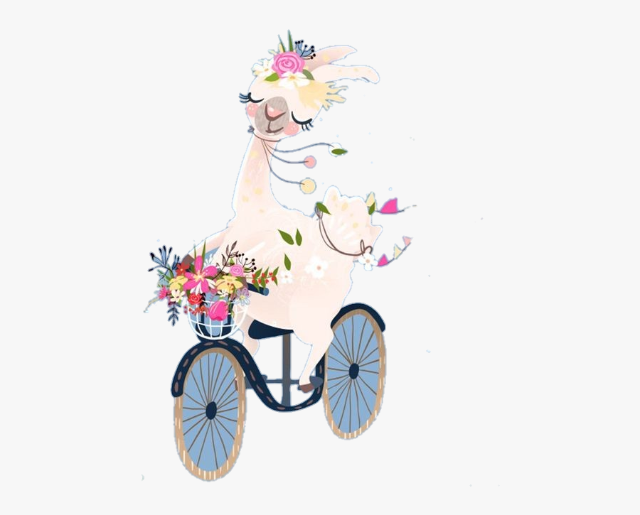 #llamas #alpacasandllamas #alpacas #alpaca #pictureoftheday - Llama En Bicicleta, Transparent Clipart