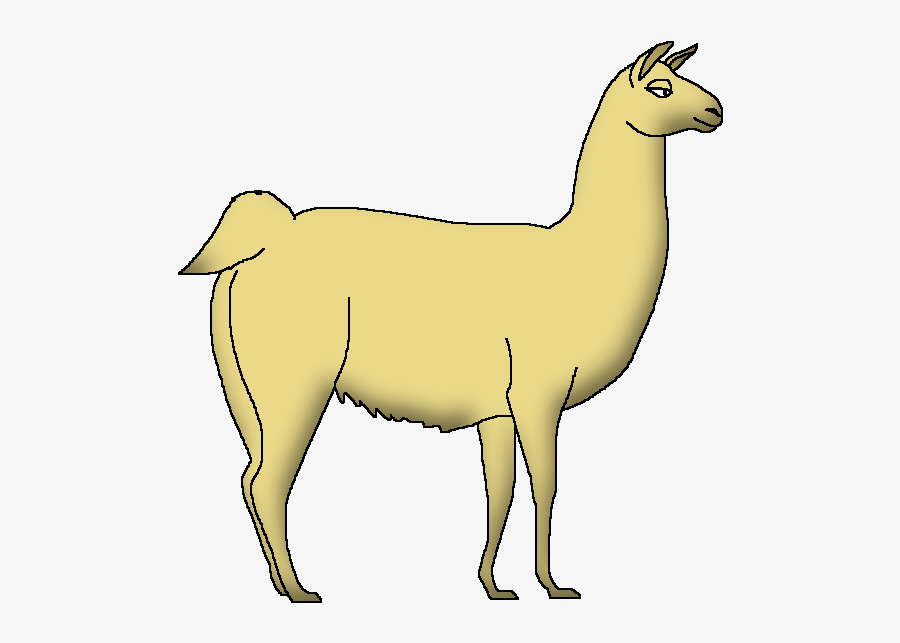Llama, Transparent Clipart