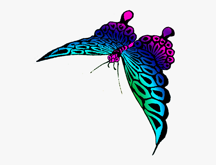 Strange Colored Butterfly Image - Many Colorful Butterfly Transparent, Transparent Clipart