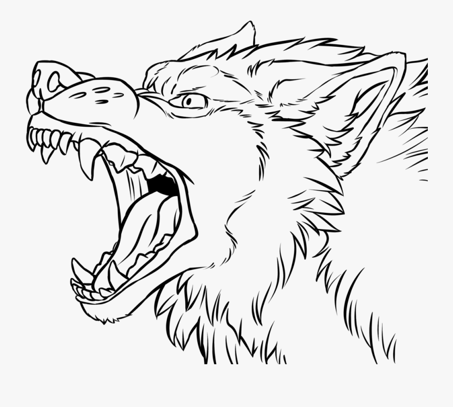 Angry Wolf Face Drawing At Getdrawings - Snarling Wolf Coloring Pages , Fre...