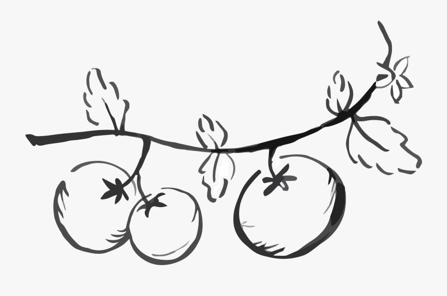 September Tart Miramar Farms Clipart , Png Download - Line Art, Transparent Clipart