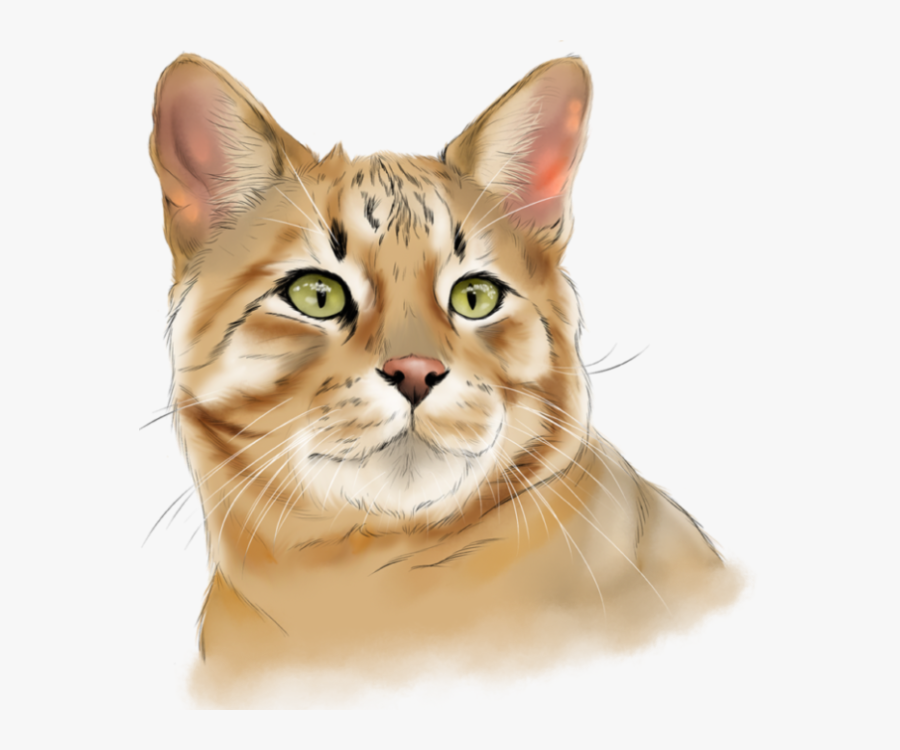 Savannah Cat, Transparent Clipart