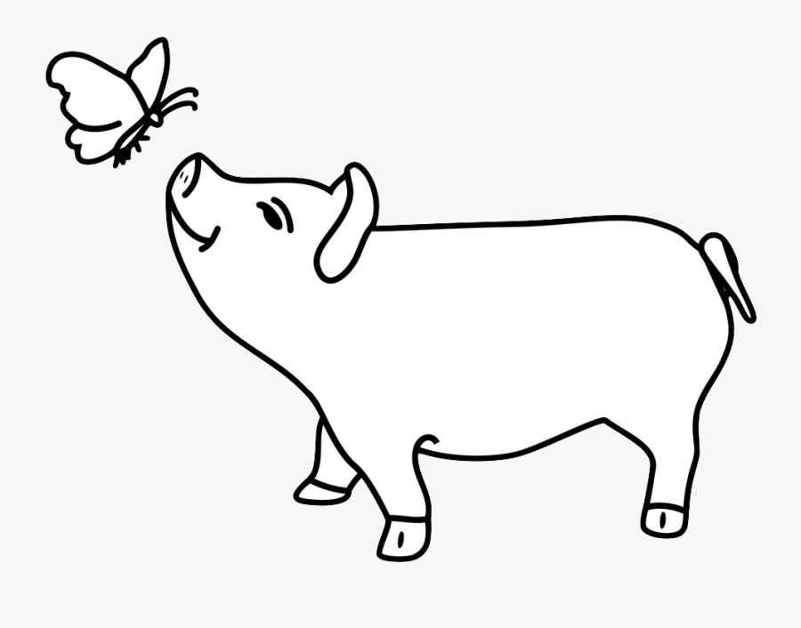 Domestic Pig, Transparent Clipart