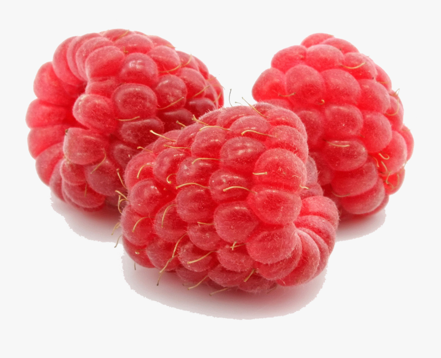 Raspberry Png File - Raspberry Png, Transparent Clipart