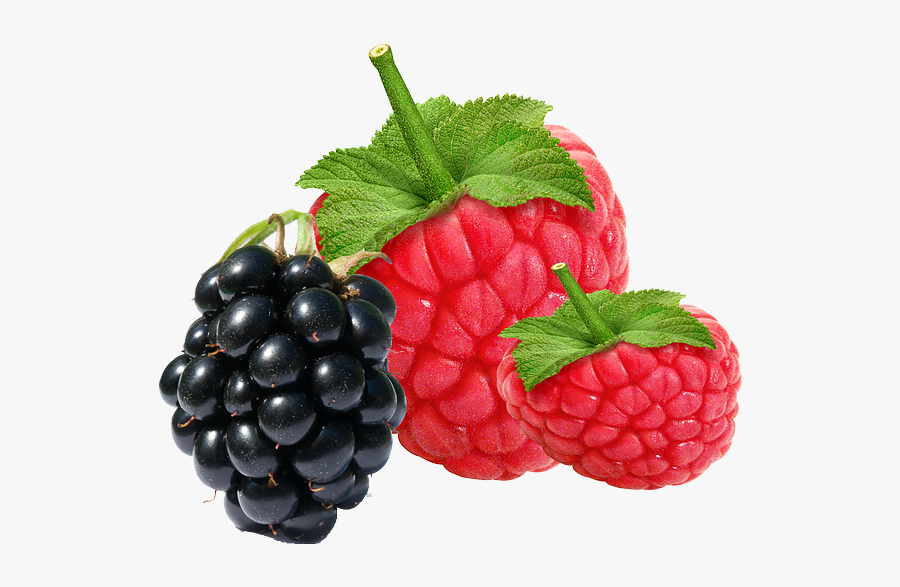 Raspberries Clipart, Transparent Clipart