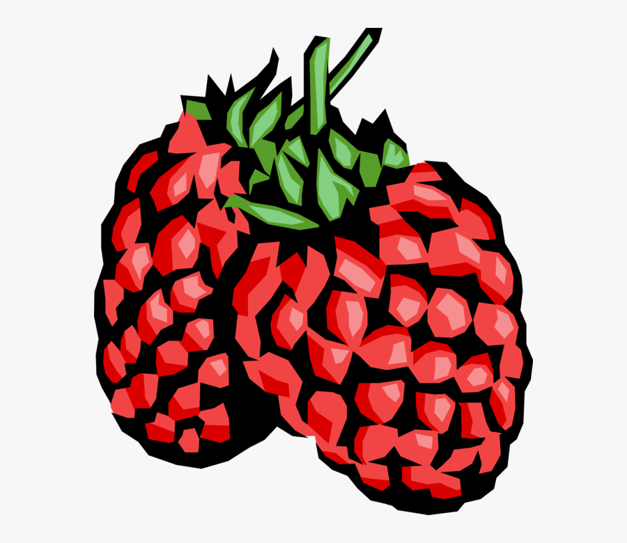 Vector Illustration Of Bramble Fruit Raspberry Edible, Transparent Clipart