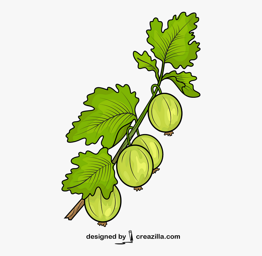 Clip Art, Transparent Clipart