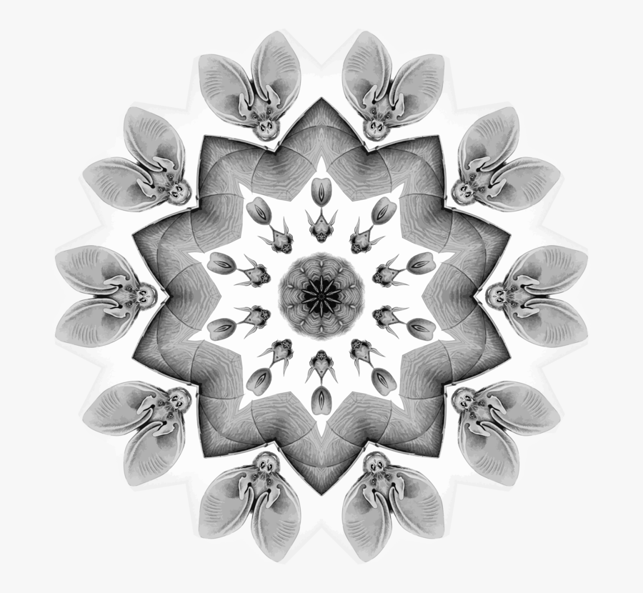 Photography - Kaleidoscope, Transparent Clipart