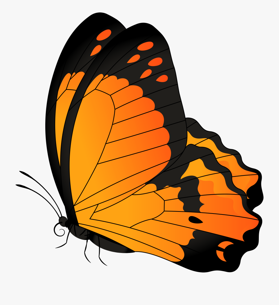 Butterfly Clip Art, Transparent Clipart