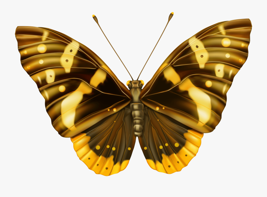 Brown And Yellow Butterfly Clipart Png Image - Yellow And Black Butterfly Png, Transparent Clipart
