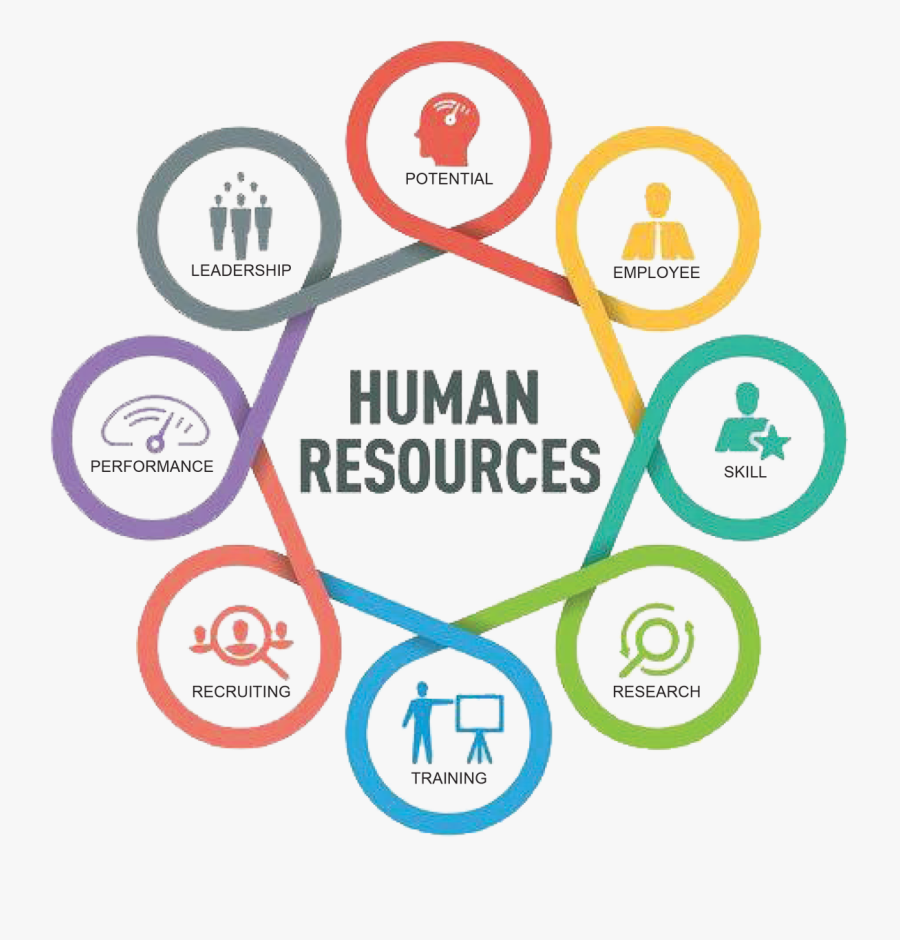 Transparent Human Resources Png - Human Resource Hr Logo, Transparent Clipart
