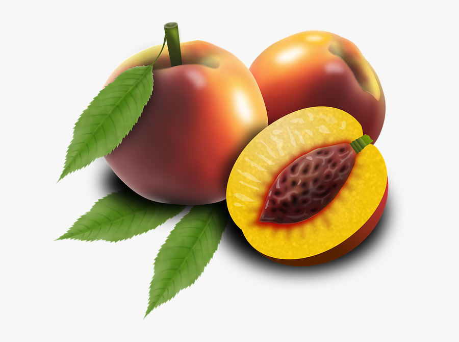 Broskyna Png, Transparent Clipart