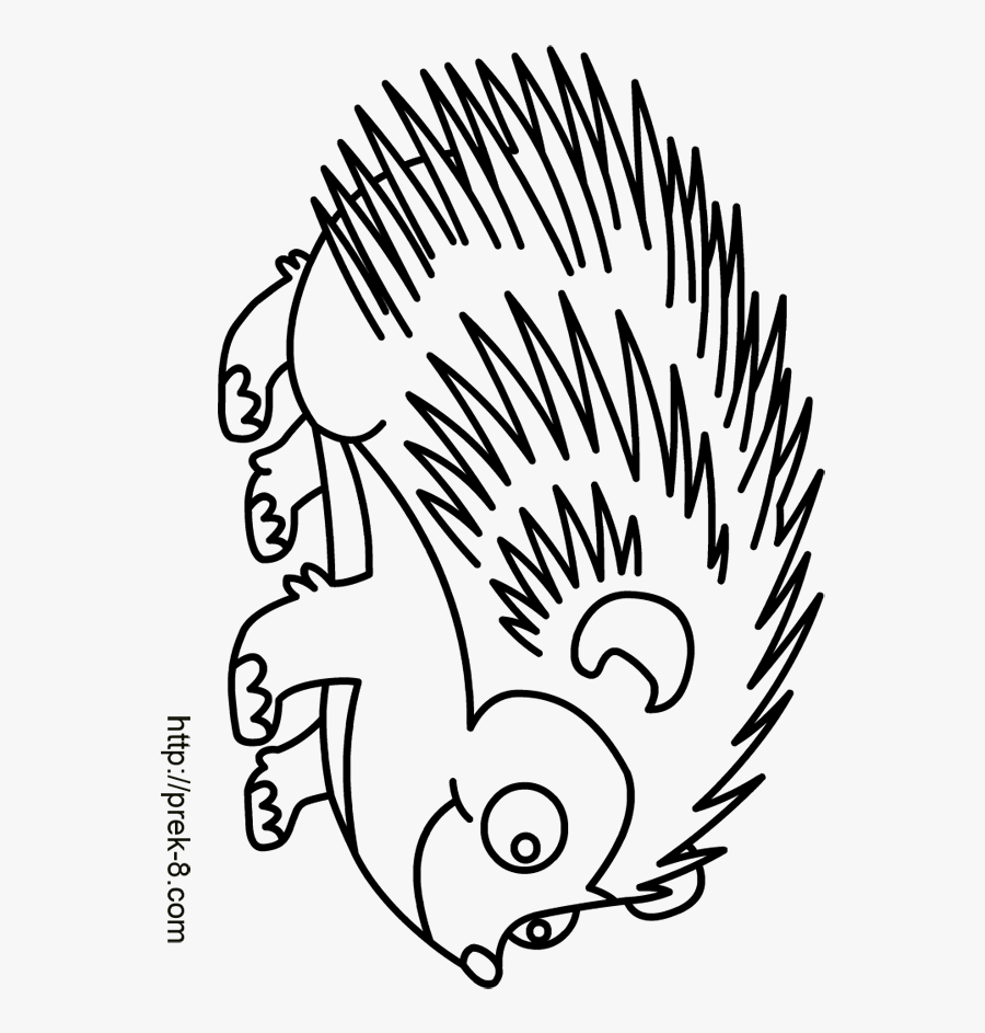 Wild Animal Coloring Pages For Kids - Coloring Book, Transparent Clipart