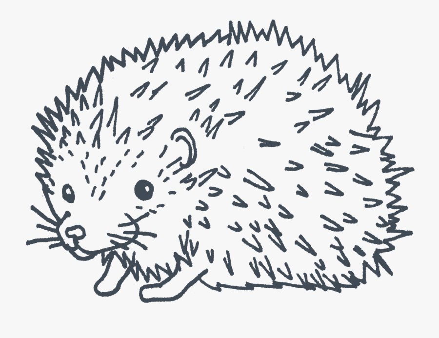 Illustration, Transparent Clipart