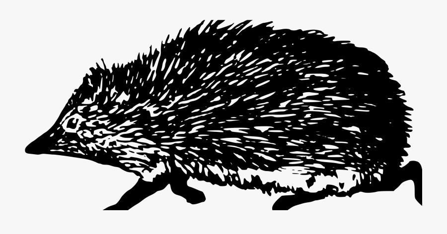 Log In - Illustration, Transparent Clipart