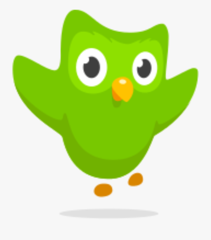 #duo #duolingo #owl #green #verde #language #languages - Duolingo Icon, Transparent Clipart