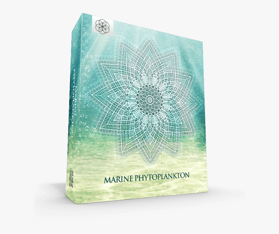 Transparent Phytoplankton Png - Paper, Transparent Clipart