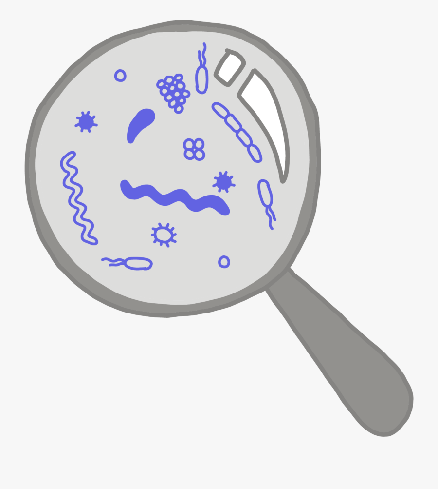 Bacteria Clipart Multicellular, Transparent Clipart
