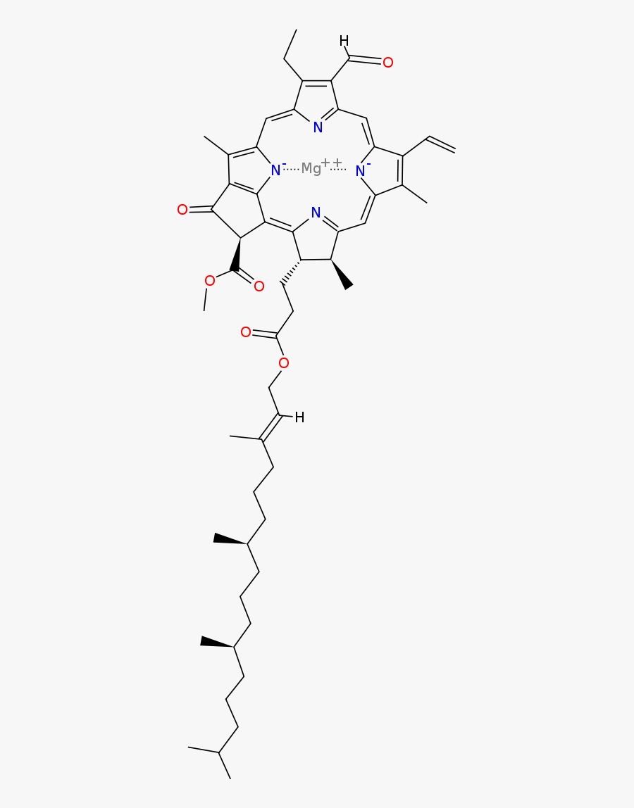 Clorofilla Struttura, Transparent Clipart