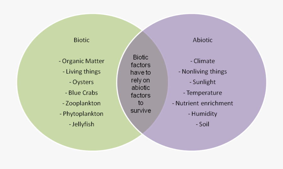 Transparent Non Living Things Clipart - Biotic Examples, Transparent Clipart