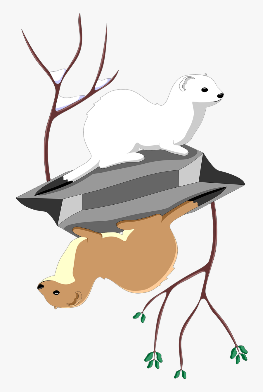 Least Ermine Stock - Clipart Stoat Animal Art, Transparent Clipart