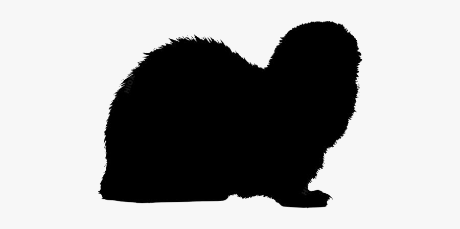 Weasel Ferret Png Black And White - Cat, Transparent Clipart