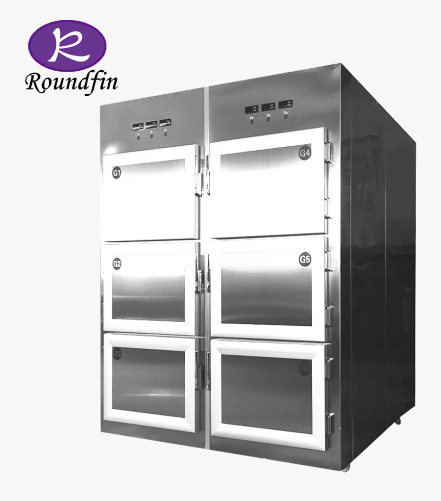 Dead Body Equipments Morgue Freezer Corpse Cold Storage - Cadaver, Transparent Clipart