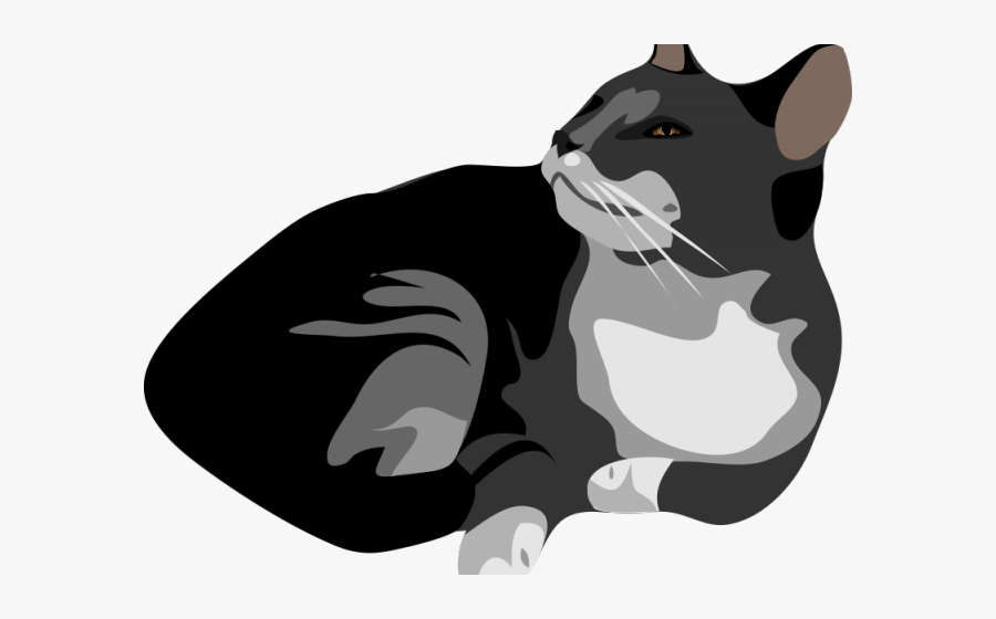 Tabby Cat Clipart Transparent Background - Transparent Background Cat Clipart, Transparent Clipart
