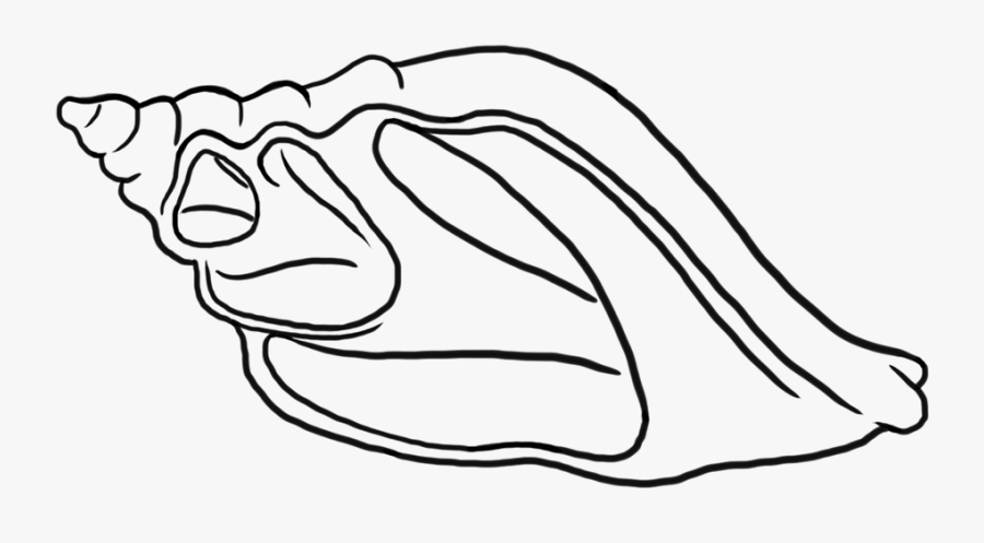 Line Art, Transparent Clipart