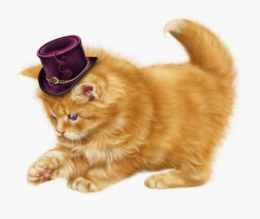 Katzenbabys Clipart, Transparent Clipart