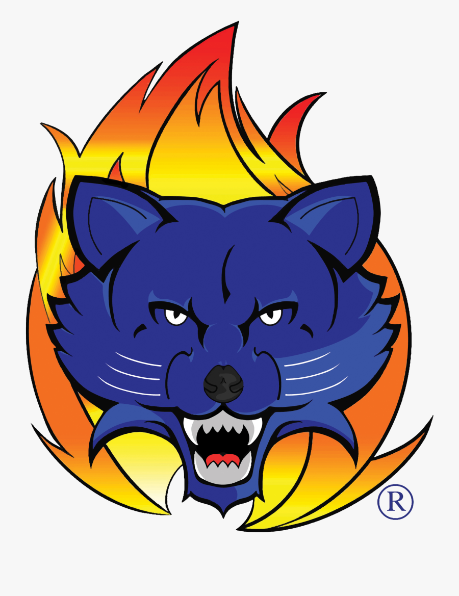 Rust College Lady Bearcats - Children's Health, Transparent Clipart