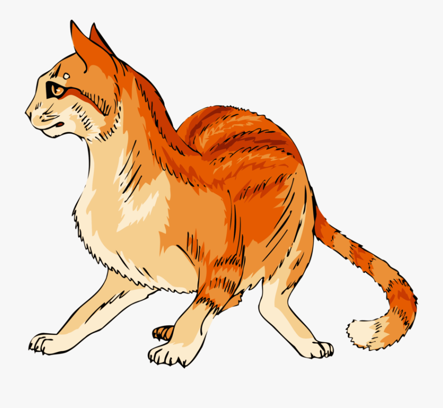 Wild Cat,carnivoran,lion - Scared Orange Cat Clipart, Transparent Clipart