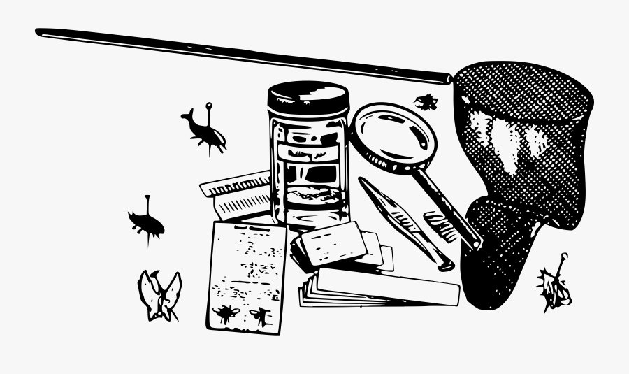 Bug Collection Kit Clip Arts - Insect Collection Clipart, Transparent Clipart