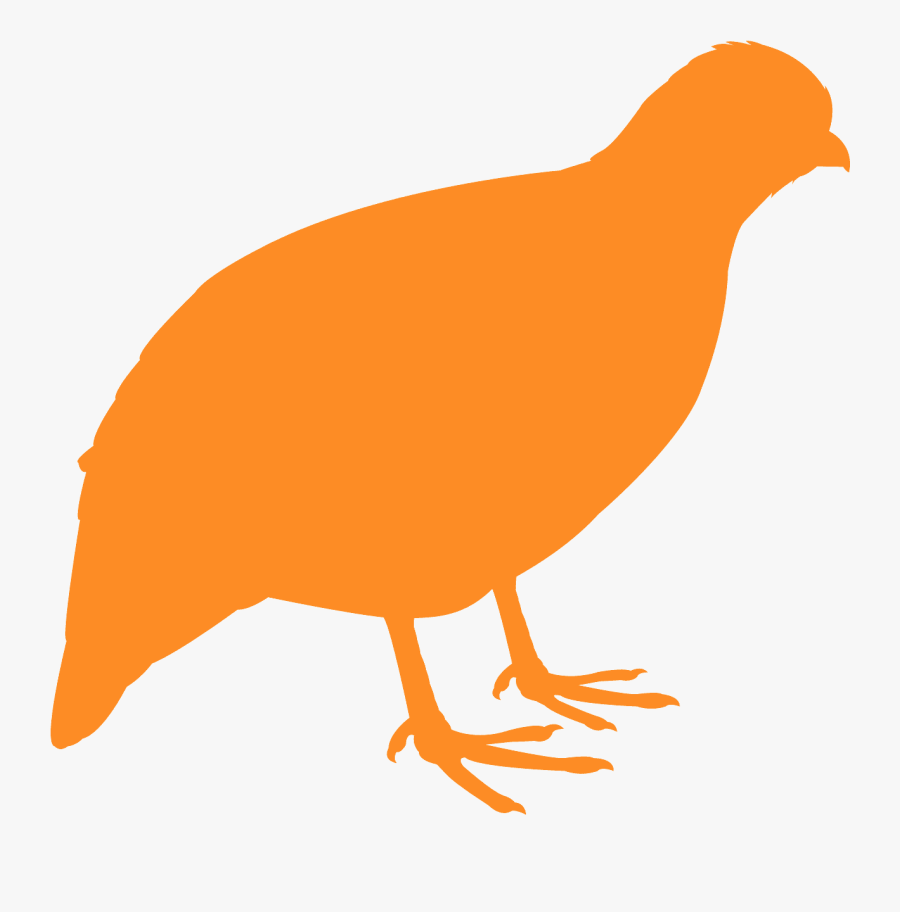 Chicken, Transparent Clipart