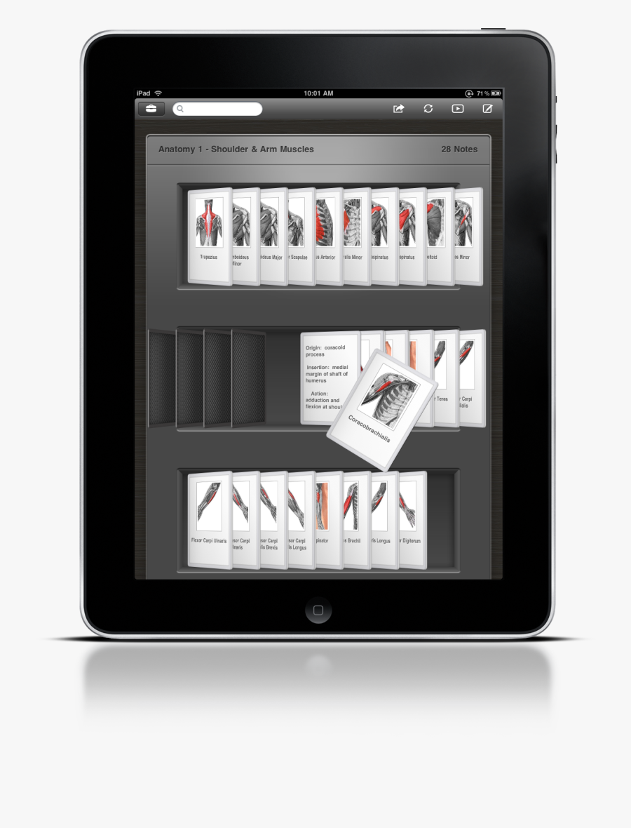 Apple Laptop Kwiqapps Subscribe Computer Inc - Electronics, Transparent Clipart