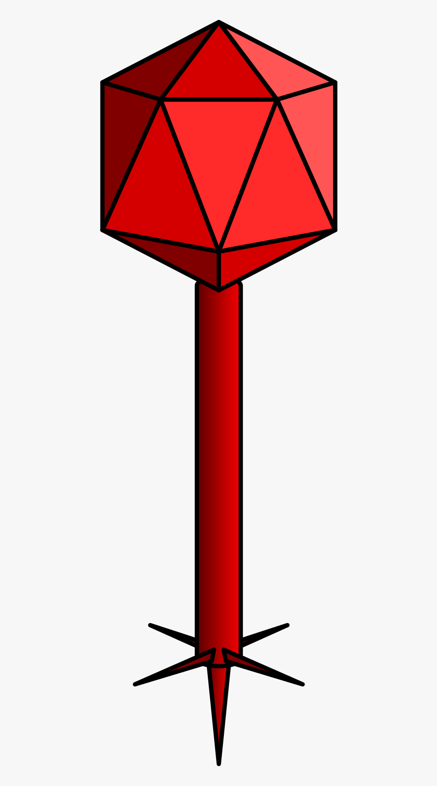 Caudovirales Order, Transparent Clipart