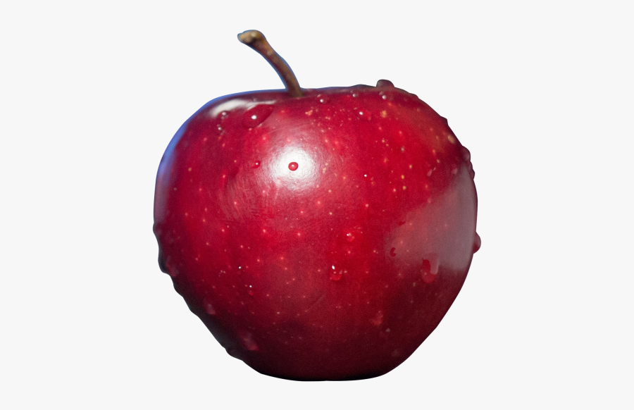 Food With Clear Background, Transparent Clipart