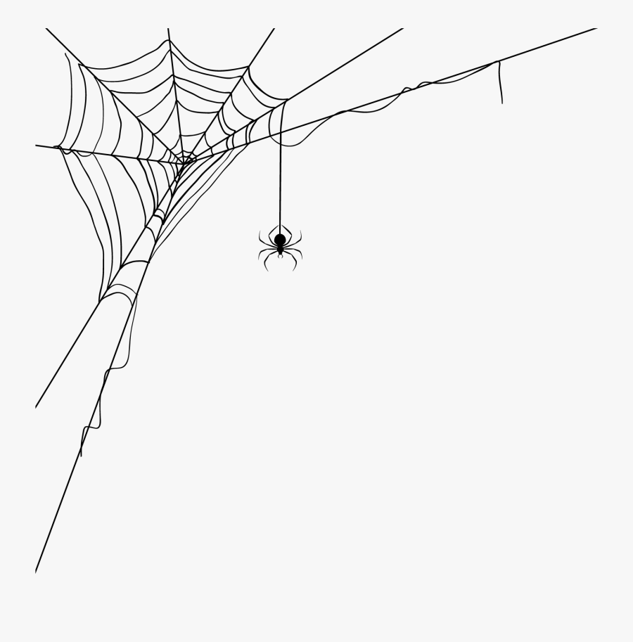 Web Wide Pattern Spider Decoration World Silk Clipart - Transparent Background Cobwebs Png, Transparent Clipart