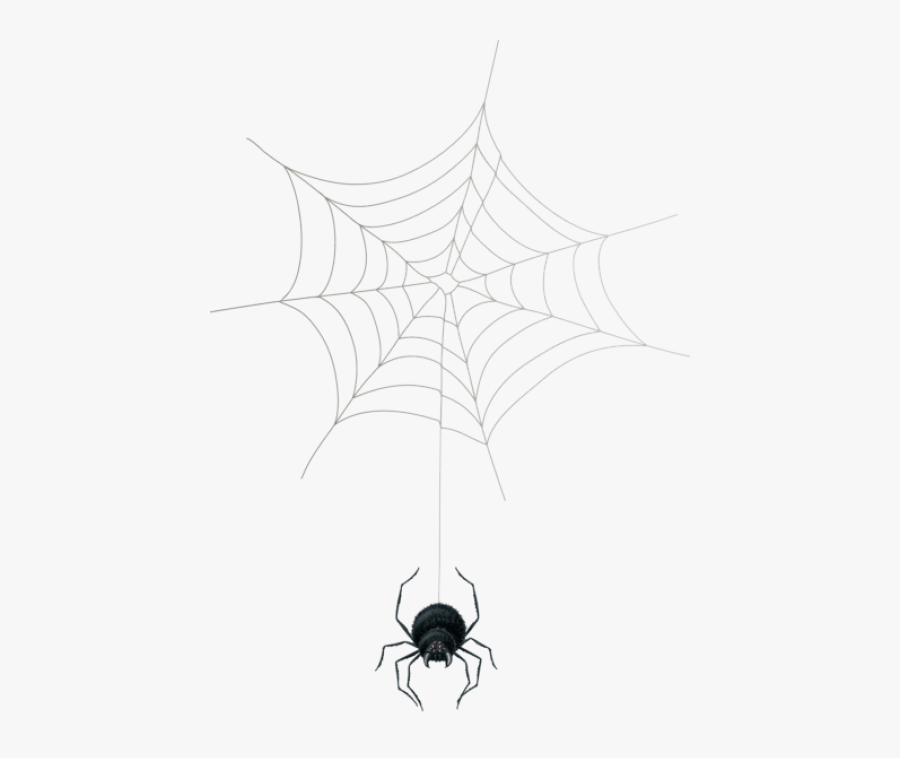 Spiderweb Clipart Png - Spider Web, Transparent Clipart