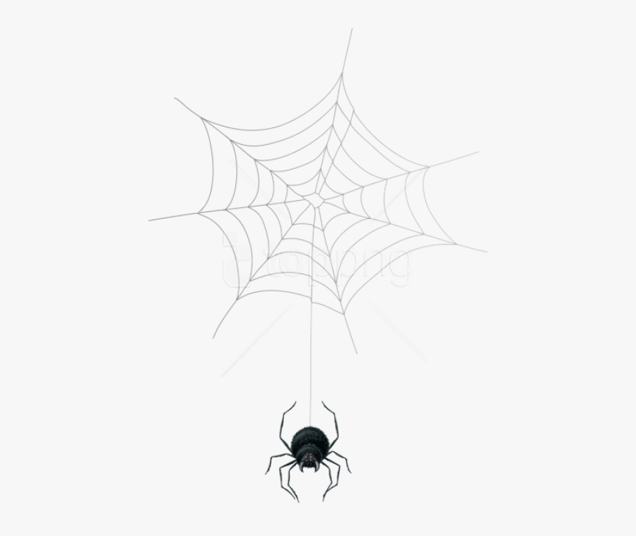 Spider-web - Spider Web, Transparent Clipart