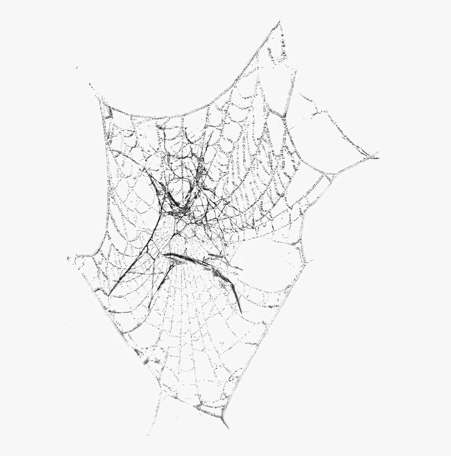 Black And White Spider Line Art Symmetry Pattern - Spider Web Clip Art, Transparent Clipart