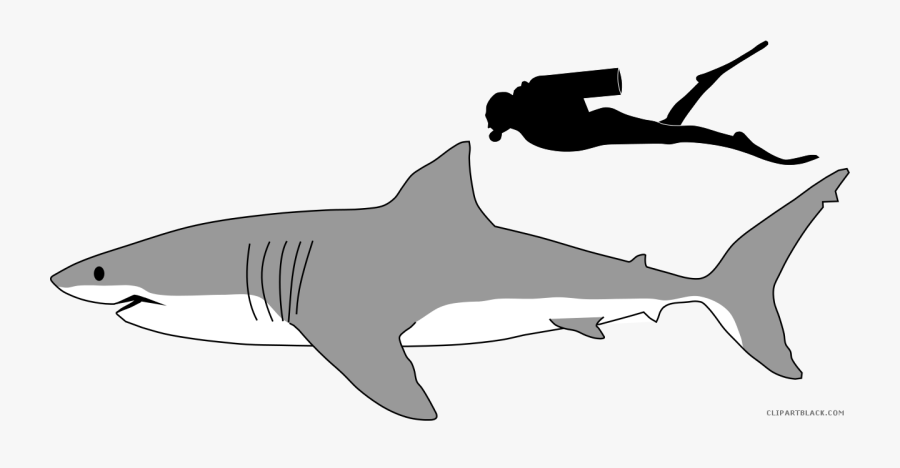 Great White Shark Animal Free Black White Clipart Images - Great White Shark Size To Human, Transparent Clipart